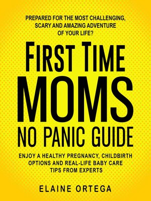 cover image of First Time Mom No Panic Guide